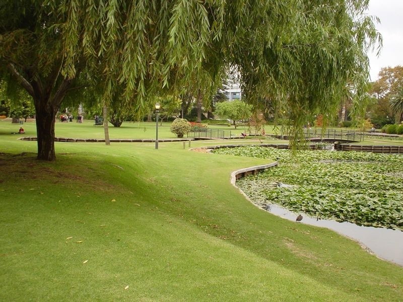 21/2A Goderich Street, East Perth WA 6004