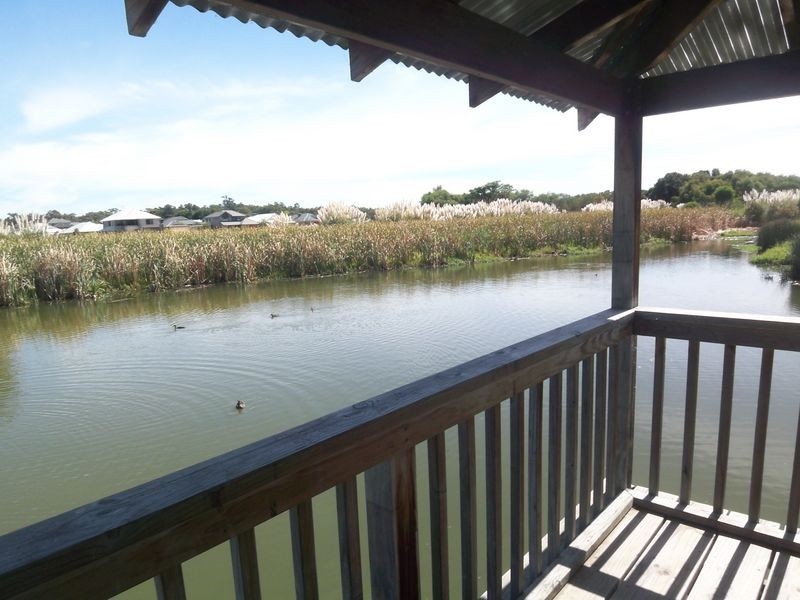 79 Carenuip Avenue, Gwelup WA 6018