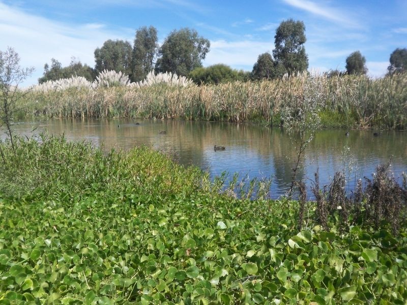 79 Carenuip Avenue, Gwelup WA 6018