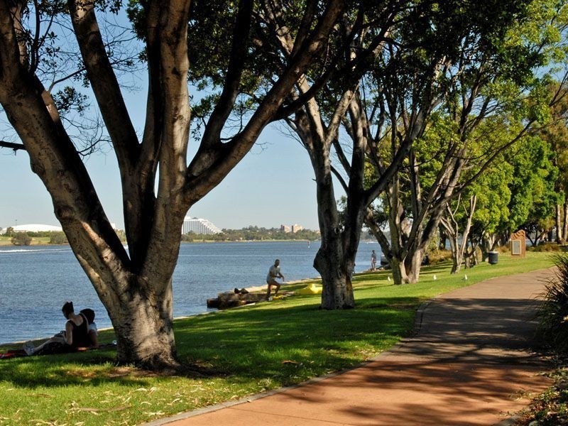 31/22 Nile Street, East Perth WA 6004