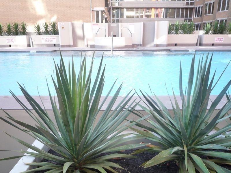 77/69 Milligan Street, Perth WA 6000