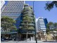 11/255 Adelaide Terrace, Perth WA 6000