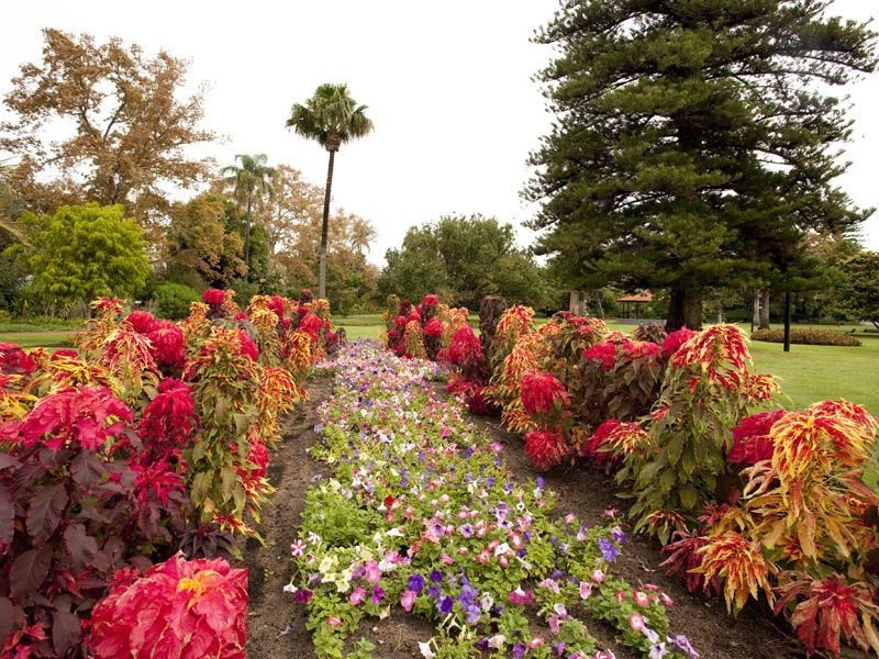 23/2 Goderich Street, East Perth WA 6004