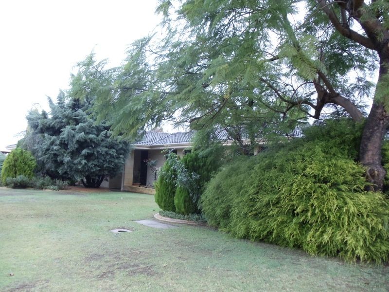 1 Stringy Bark Ramble, Willetton WA 6155