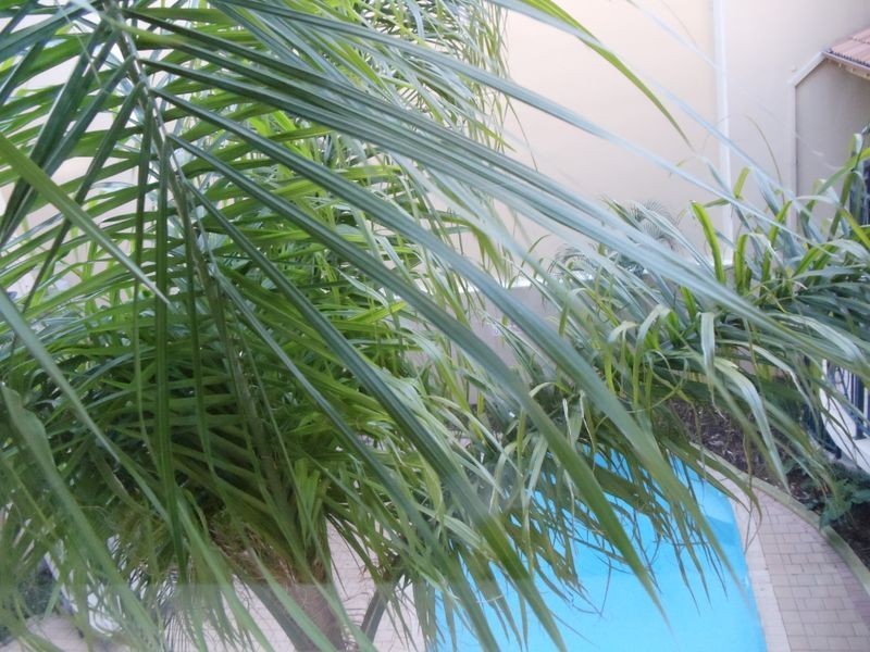 23/138 Adelaide Terrace, East Perth WA 6004