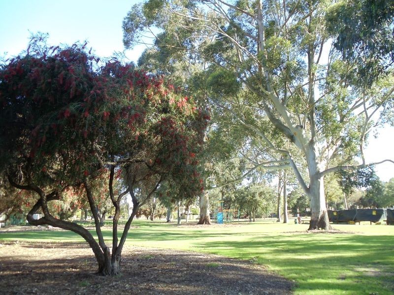 8/1 Bennelong Place, Leederville WA 6007