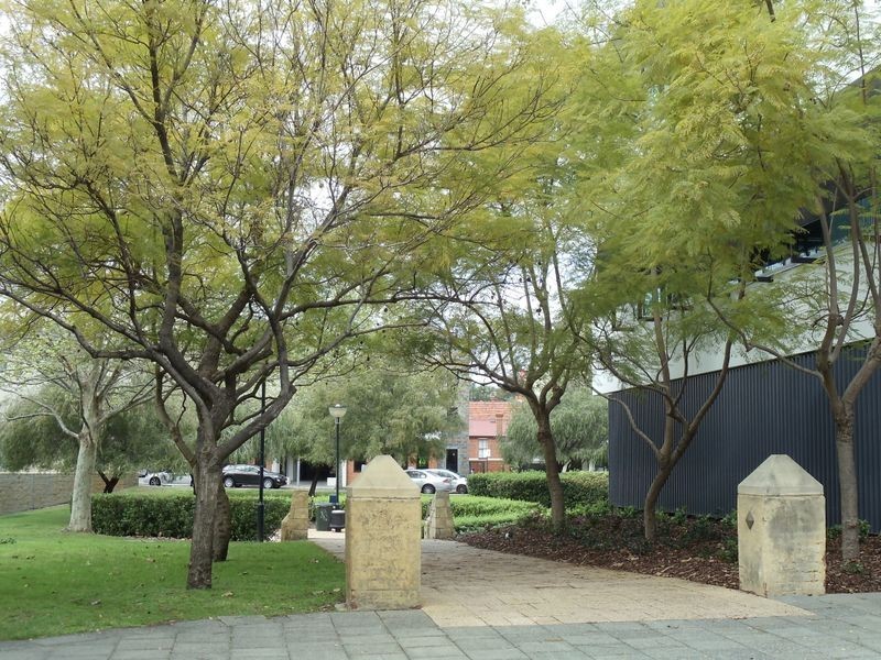 4/7 Henry Street, East Perth WA 6004