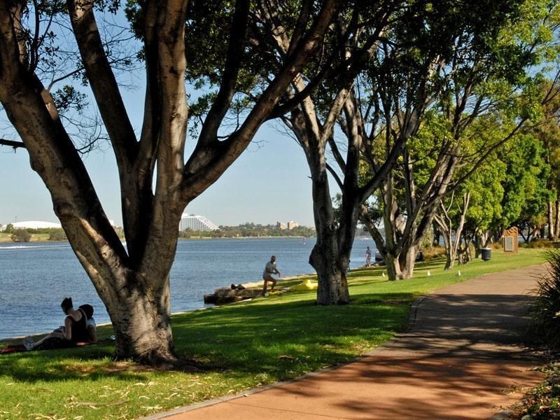 29/22 Nile Street, East Perth WA 6004