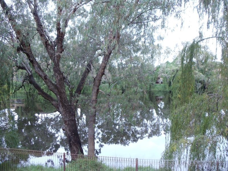 170/12 Wall Street, Maylands WA 6051