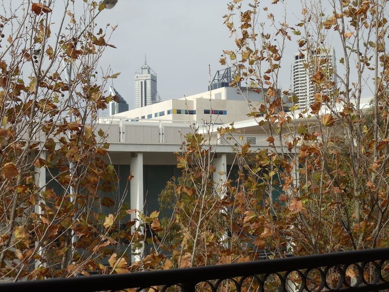 11/5 Delhi Street, West Perth WA 6005