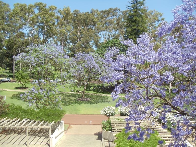 8/6 Bellevue Terrace, West Perth WA 6005