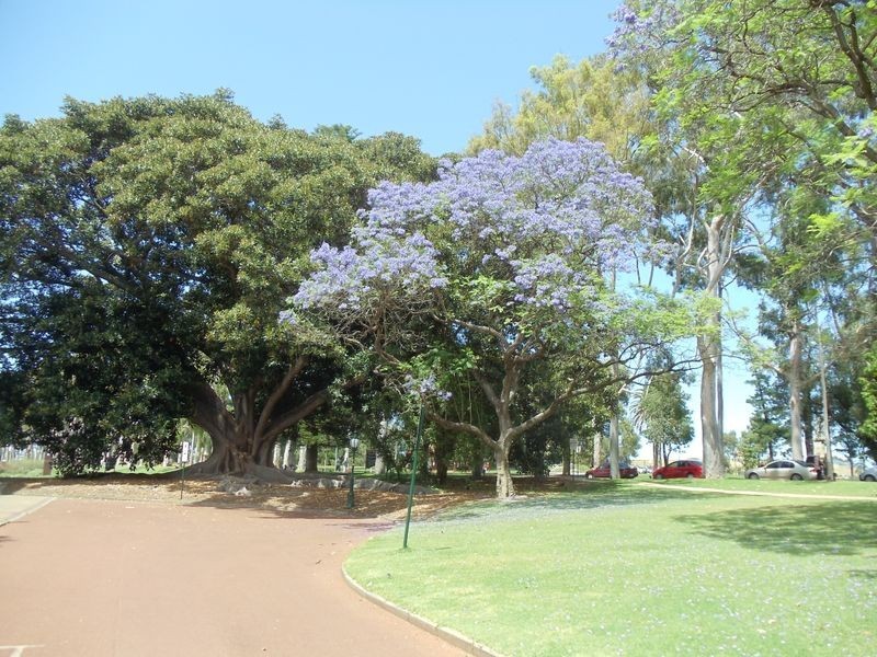 8/6 Bellevue Terrace, West Perth WA 6005