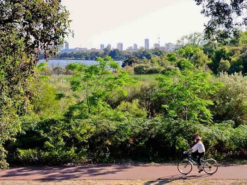 198/12 Wall Street, Maylands WA 6051