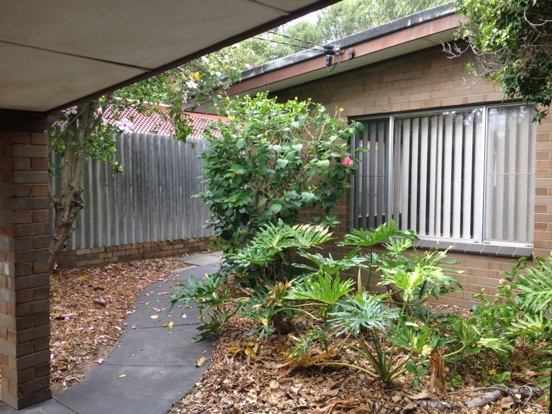 19b Pascoe Street, Karrinyup WA 6018