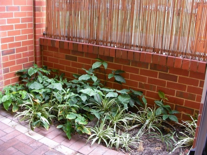 33/30 Bishops Row, East Perth WA 6004