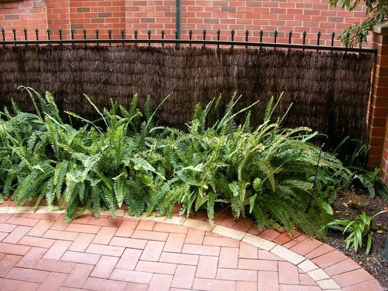 33/30 Bishops Row, East Perth WA 6004