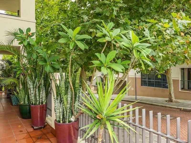 5/60 Henry Lawson Walk, East Perth WA 6004