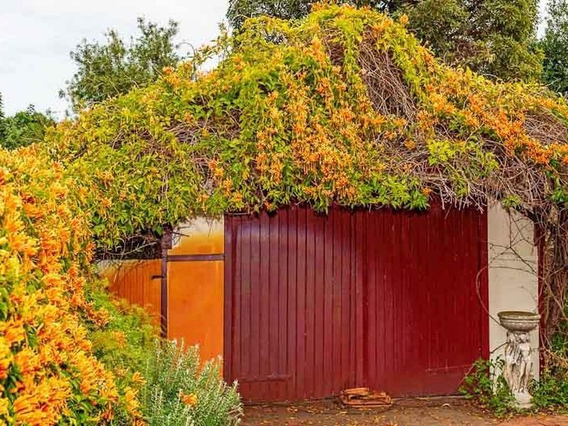 20 Milne Street, Bayswater WA 6053