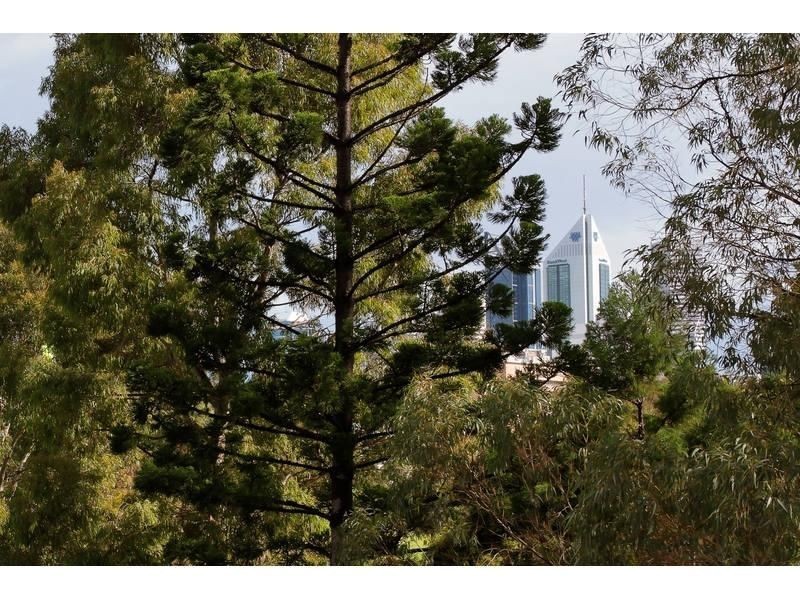 12/178 Bennett Street, East Perth WA 6004