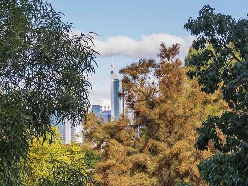 31/227 Vincent Street, West Perth WA 6005