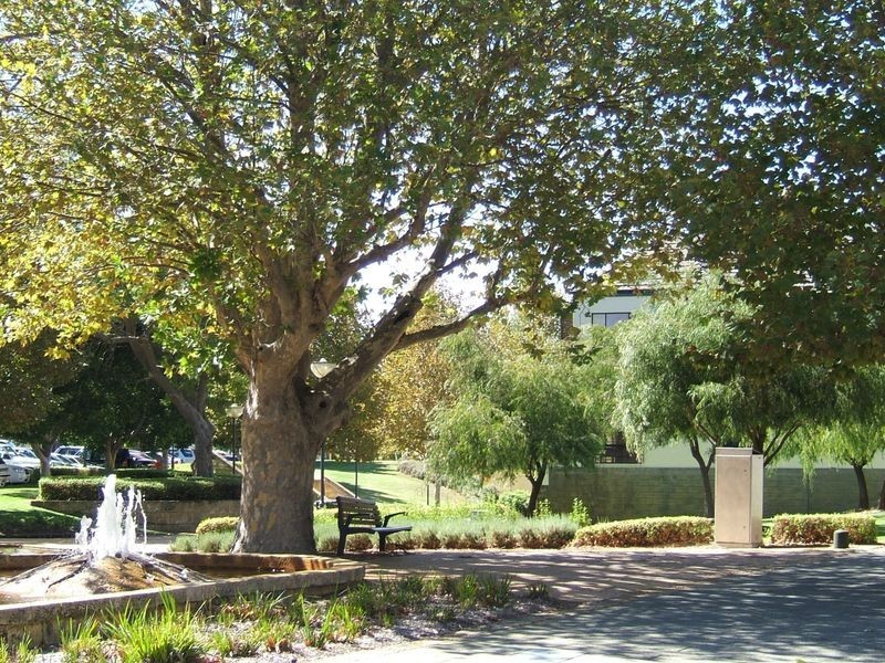 6/135 Royal Street, East Perth WA 6004