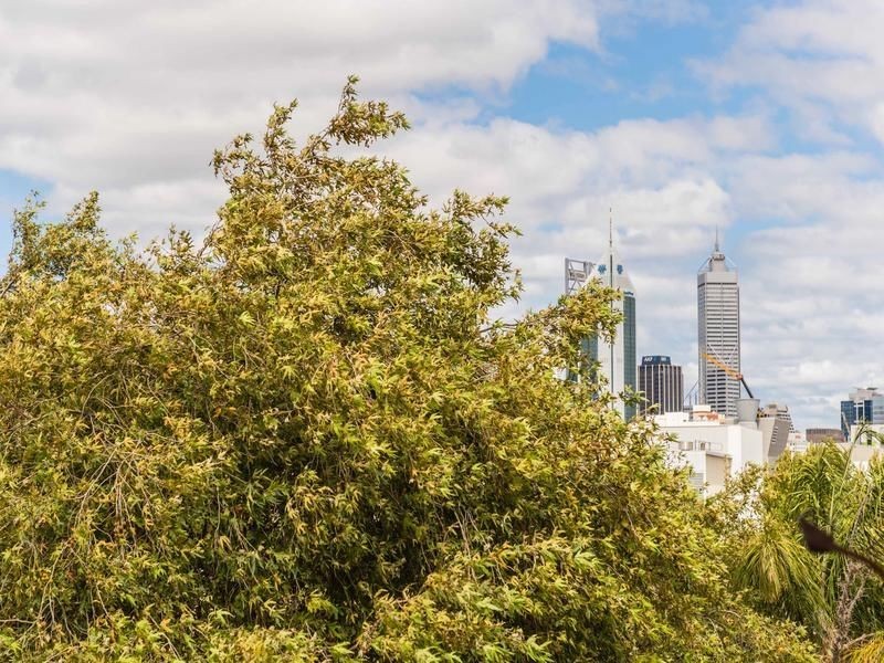 6/104 Brown Street, East Perth WA 6004