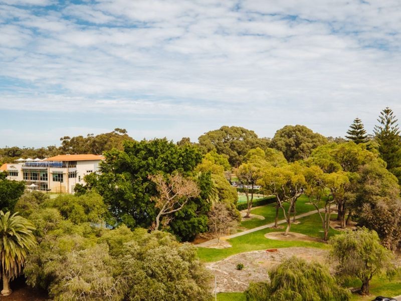 29/16 Kings Park Road, West Perth WA 6005