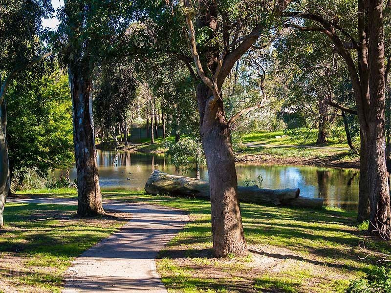 5 Marlock Court, Forrestfield WA 6058
