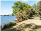 3/38 Fielder Street, East Perth WA 6004