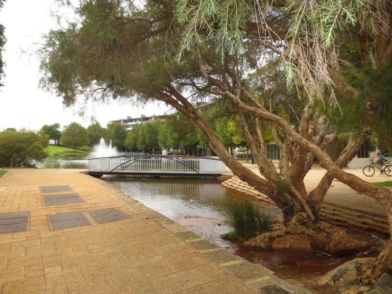 15/32 Eastbrook Terrace, East Perth WA 6004