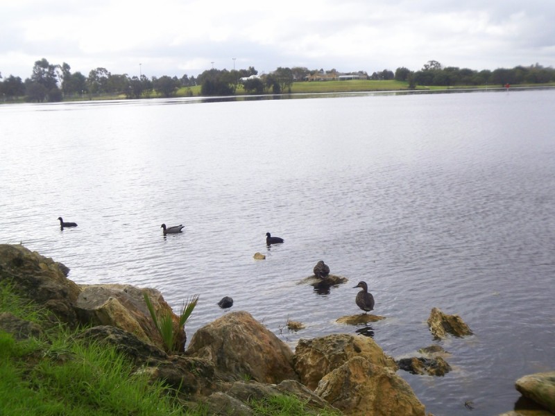 36/22 Nile Street, East Perth WA 6004