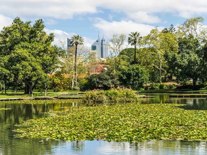 501/45 Adelaide Terrace, East Perth WA 6004