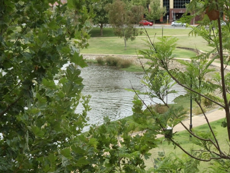 6/82 Royal Street, East Perth WA 6004