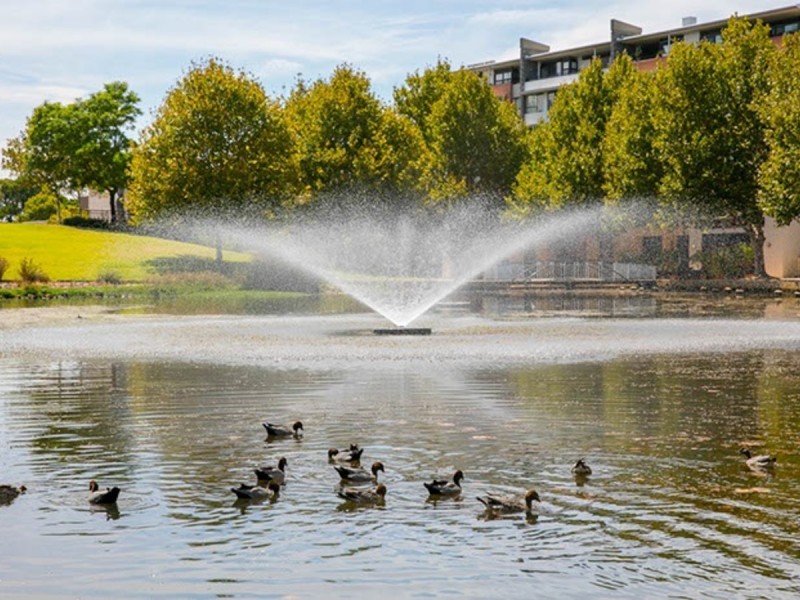 16 Saunders Street, East Perth WA 6004