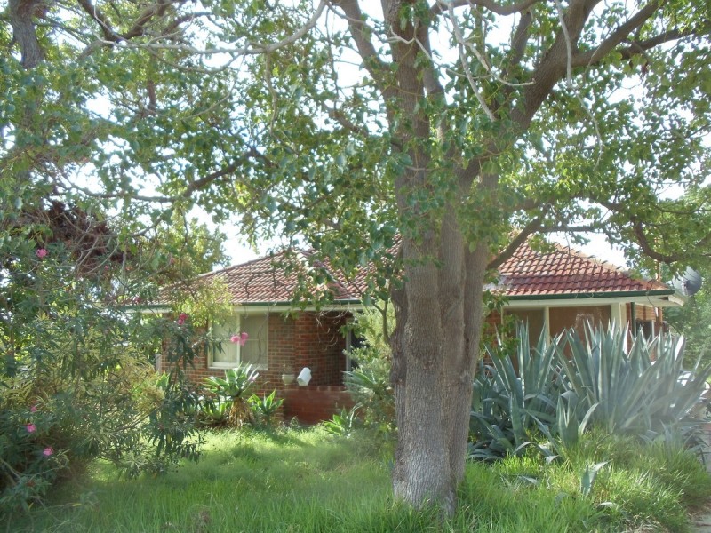 21 Tangmere Way, Balga WA 6061