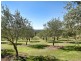 439 Parkland Drive, Toodyay WA 6566