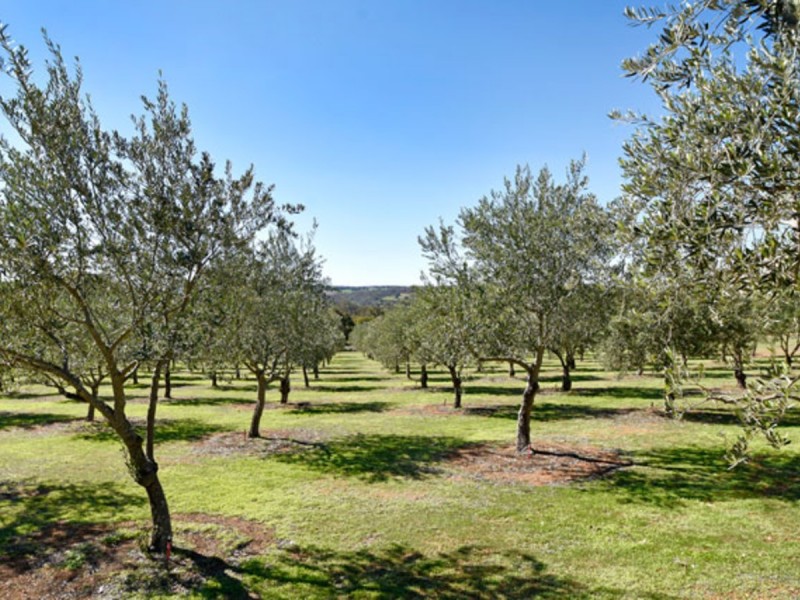 439 Parkland Drive, Toodyay WA 6566