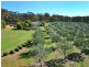 439 Parkland Drive, Toodyay WA 6566