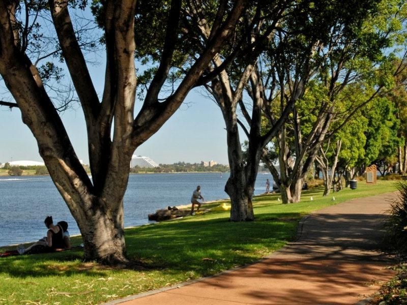 14/50 Royal Street, East Perth WA 6004