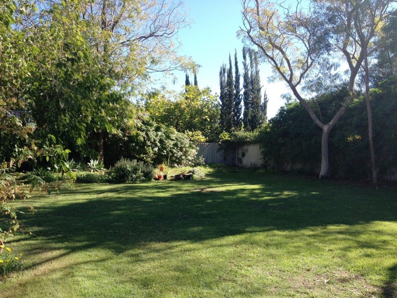 17 Mountjoy Road, Nedlands WA 6009