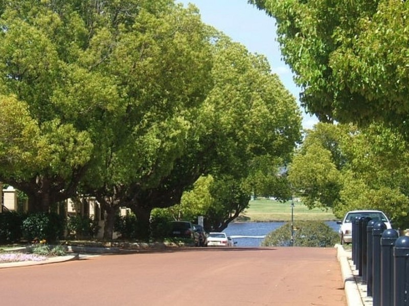 4/22 Nile Street, East Perth WA 6004