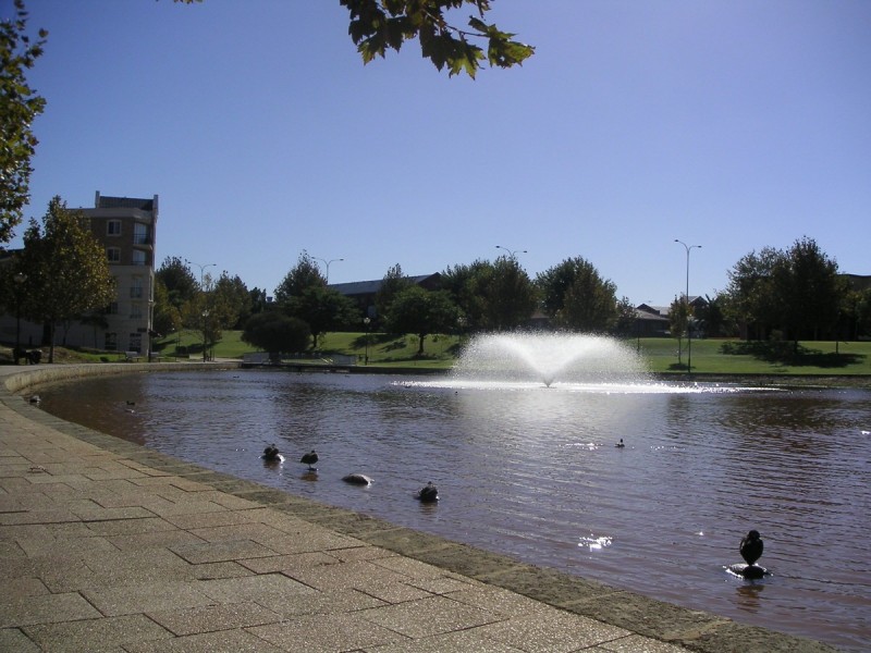 3/32 Eastbrook Terrace, East Perth WA 6004