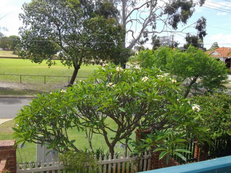 50 Coode Street, Maylands WA 6051