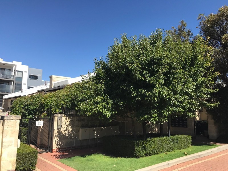 28/500 Beaufort Street, Highgate WA 6003