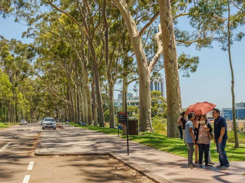 1/71 Mount Street, West Perth WA 6005