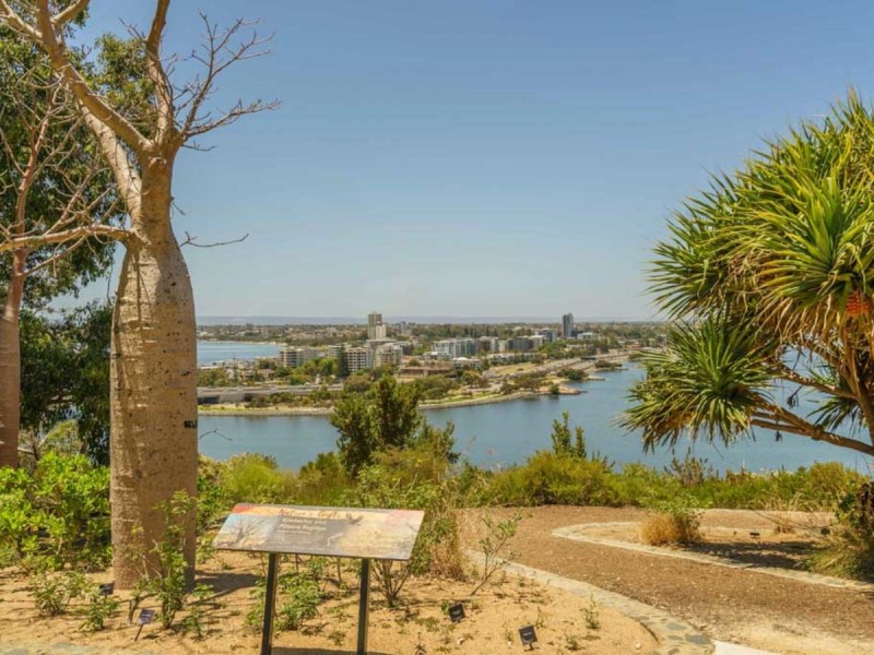 1/71 Mount Street, West Perth WA 6005