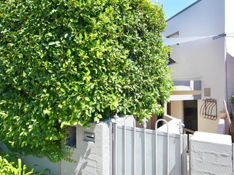 11/3 Mitchell Street, Mount Lawley WA 6050