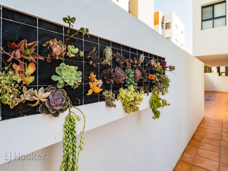 3/82 Royal Street, East Perth WA 6004