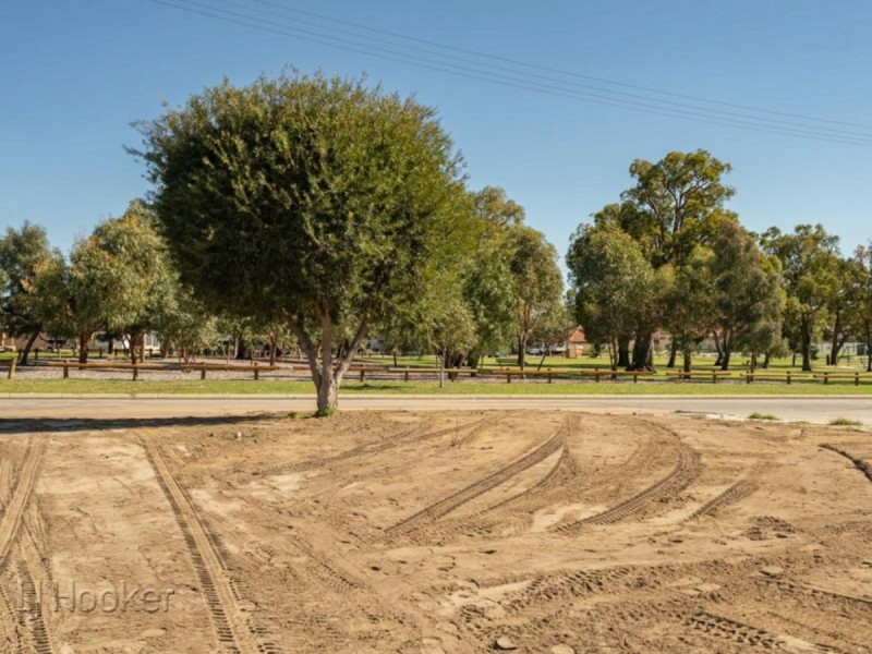 12 Newick Street, Balga WA 6061