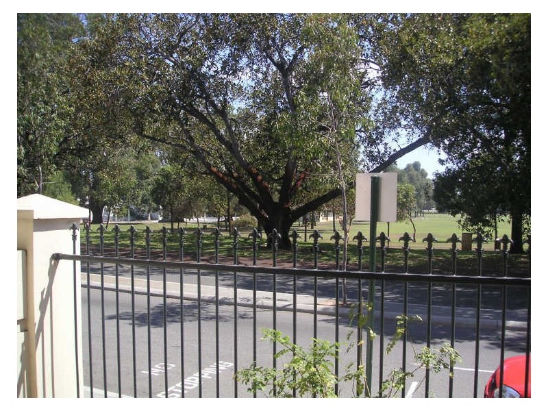 2/125 Wellington Street, East Perth WA 6004